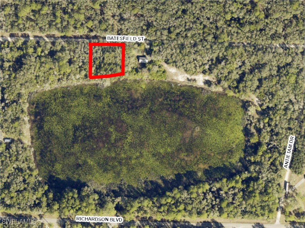 35034 Batesfield Street Webster, FL 33597 - Photo 3 of 12