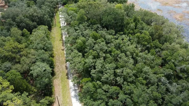 a view of a yard with an trees