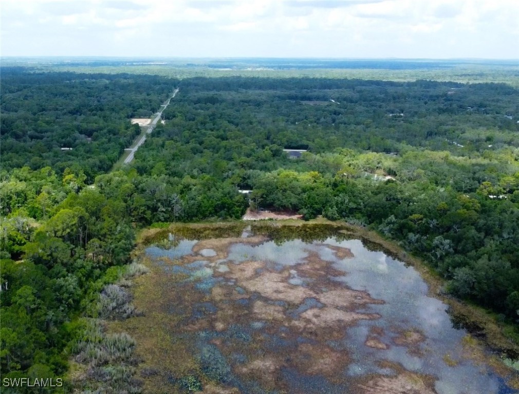 35034 Batesfield Street Webster, FL 33597 - Photo 7 of 12 a view of a yard with a street