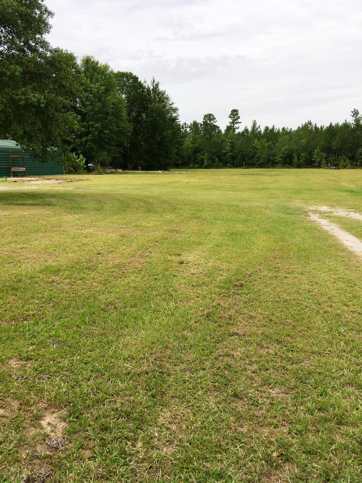 1460 State Rd S-15-143 Cottageville, SC 29435 - Photo 13 of 45 bazzle 41