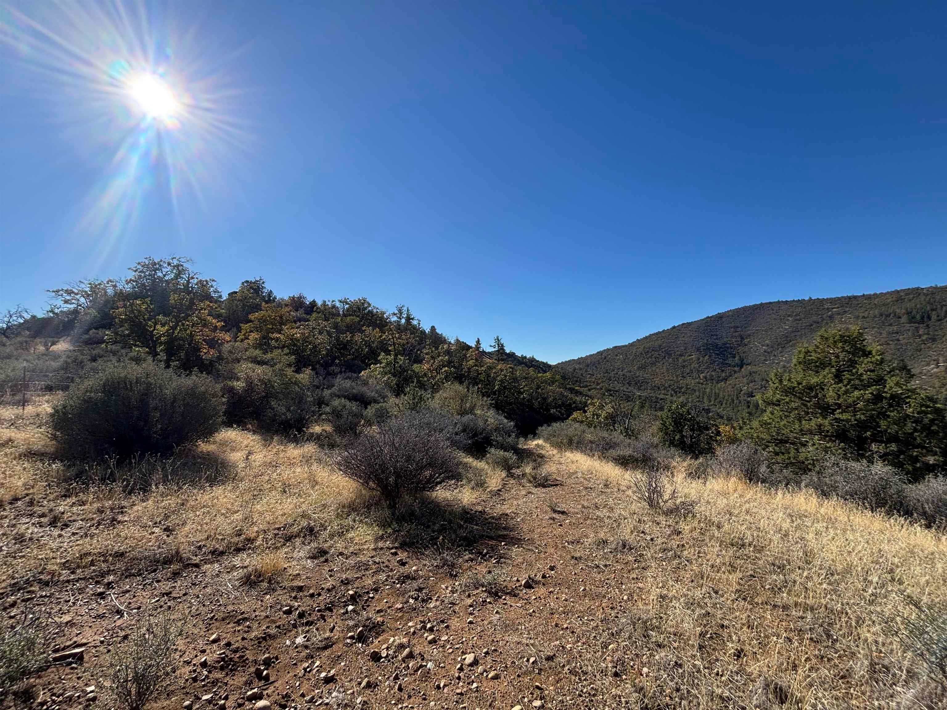 0 Guys Gulch Road Yreka, CA 96097 - Photo 10 of 11 Gallery Image 10