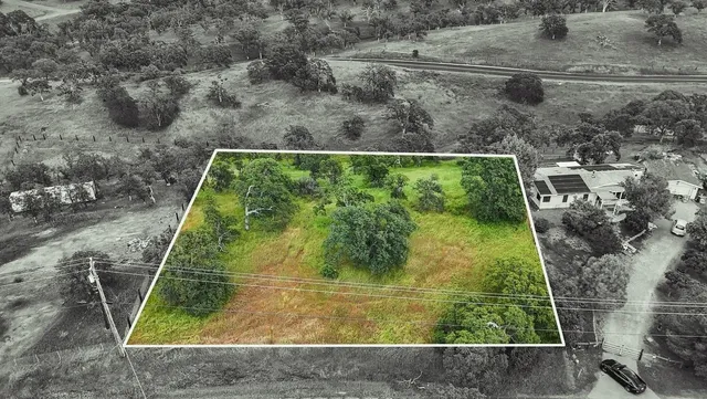 a view of a balcony with a tree