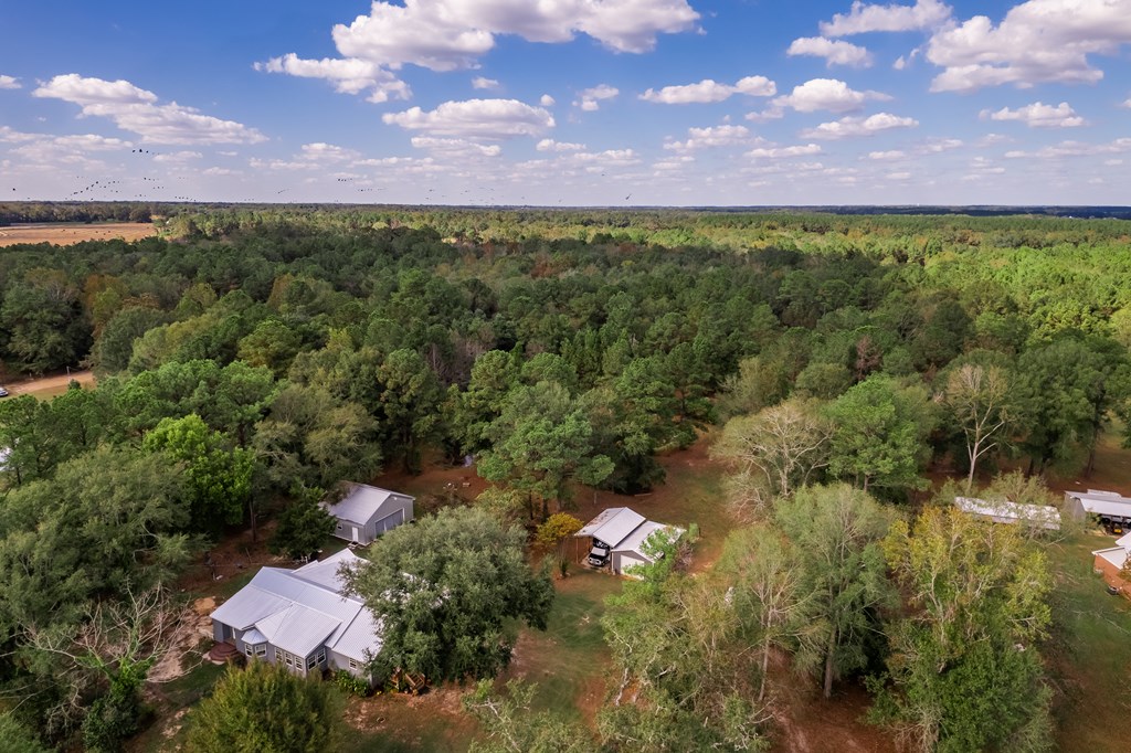 242 Providence Road Slocomb, AL 36375 - Photo 47 of 55 Beautiful View of the Property