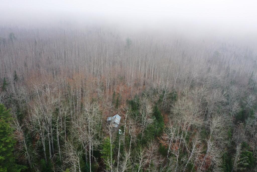 Tbd Hobbstown Road Milo, ME 04463 - Photo 3 of 24 DJI_0902