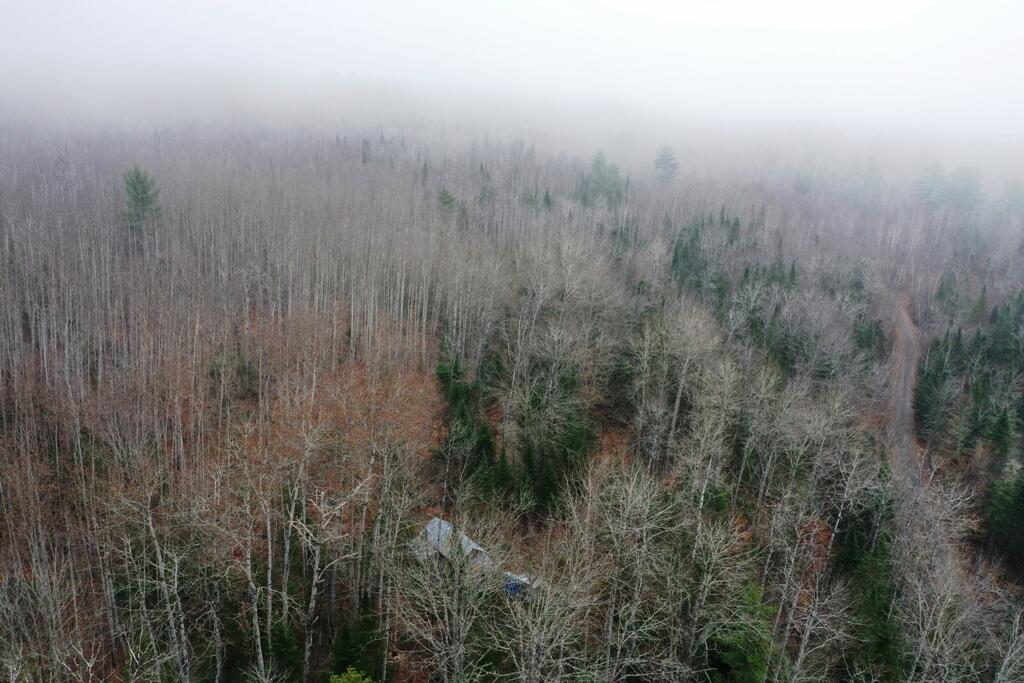 Tbd Hobbstown Road Milo, ME 04463 - Photo 4 of 24 DJI_0903