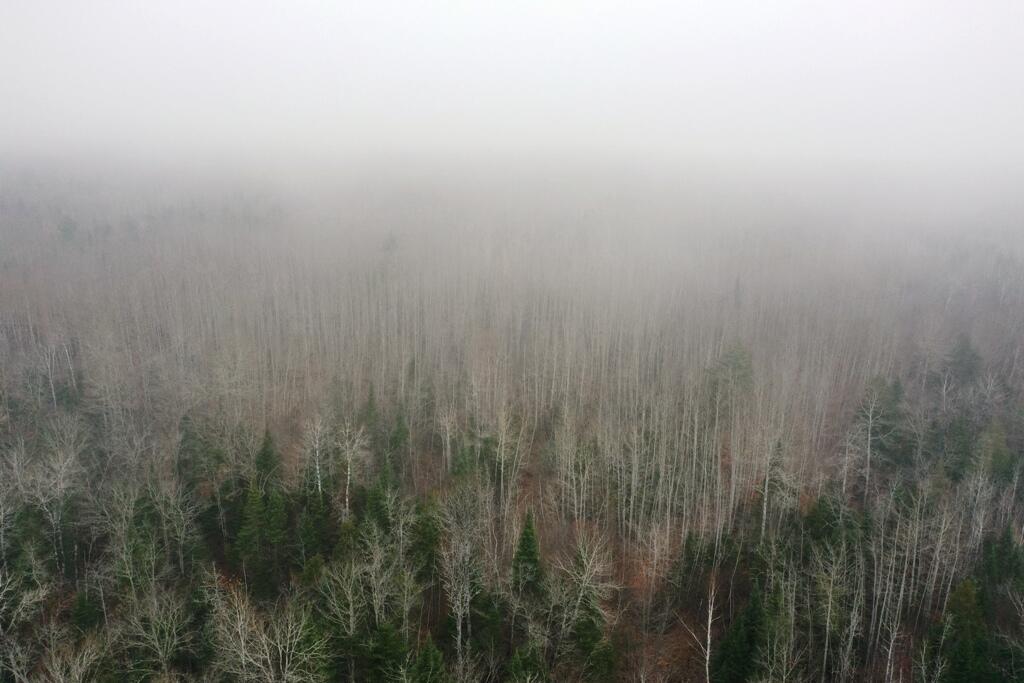 Tbd Hobbstown Road Milo, ME 04463 - Photo 5 of 24 DJI_0904