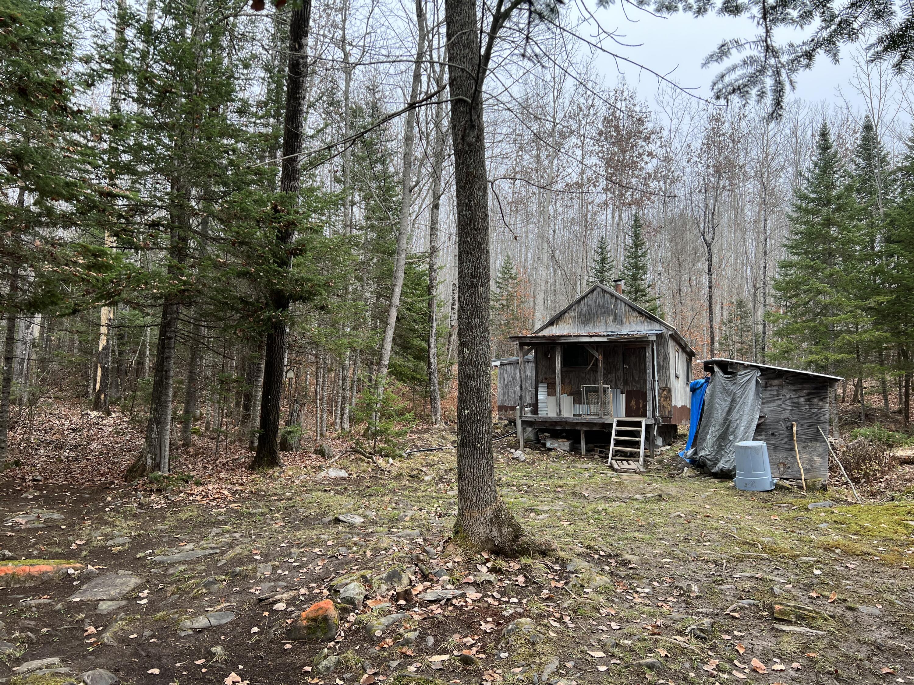 Tbd Hobbstown Road Milo, ME 04463 - Photo 9 of 24 IMG_1151
