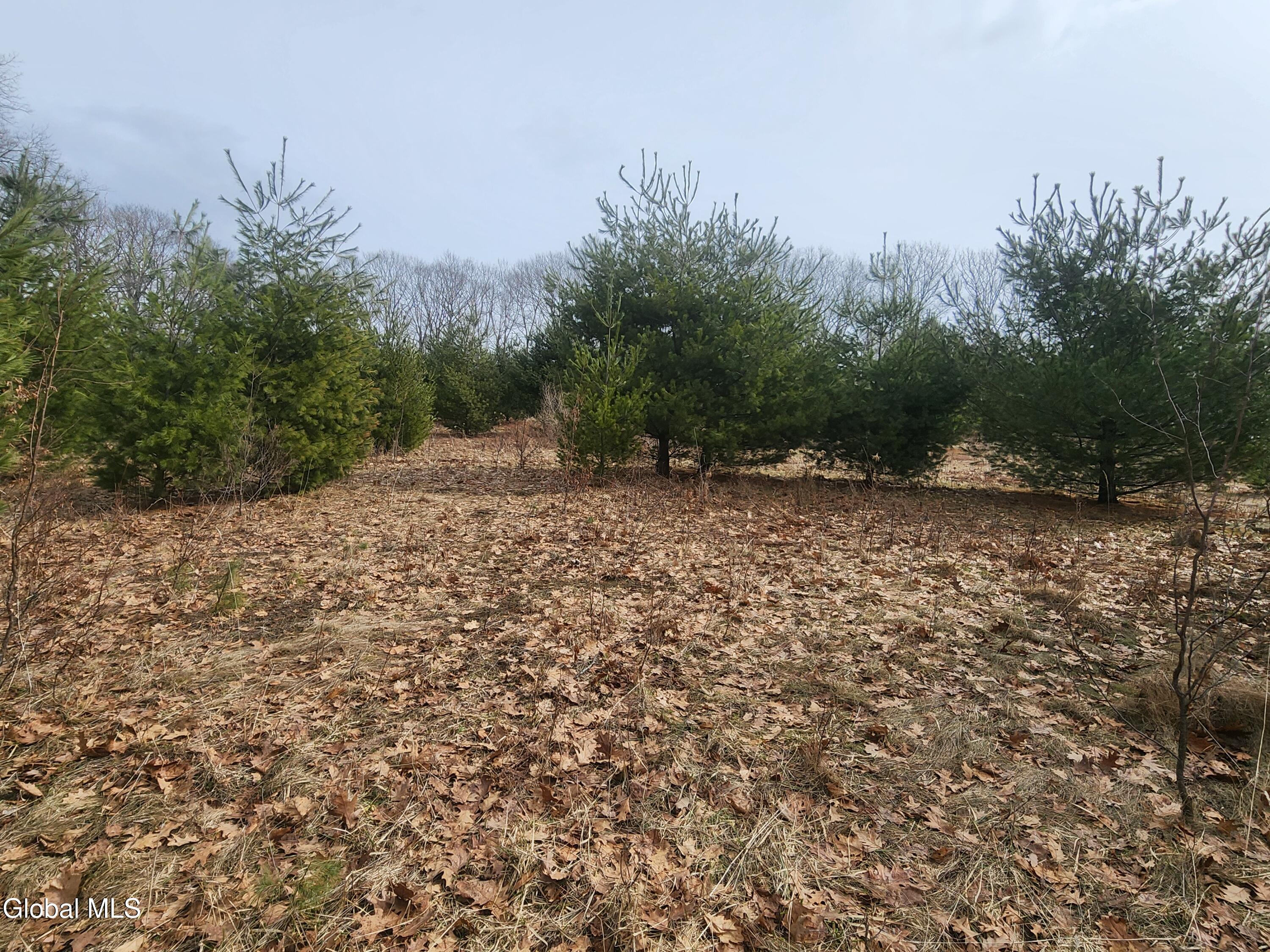 23.2 Lynn Road Averill Park, NY 12018 - Photo 11 of 14 20260313_111151