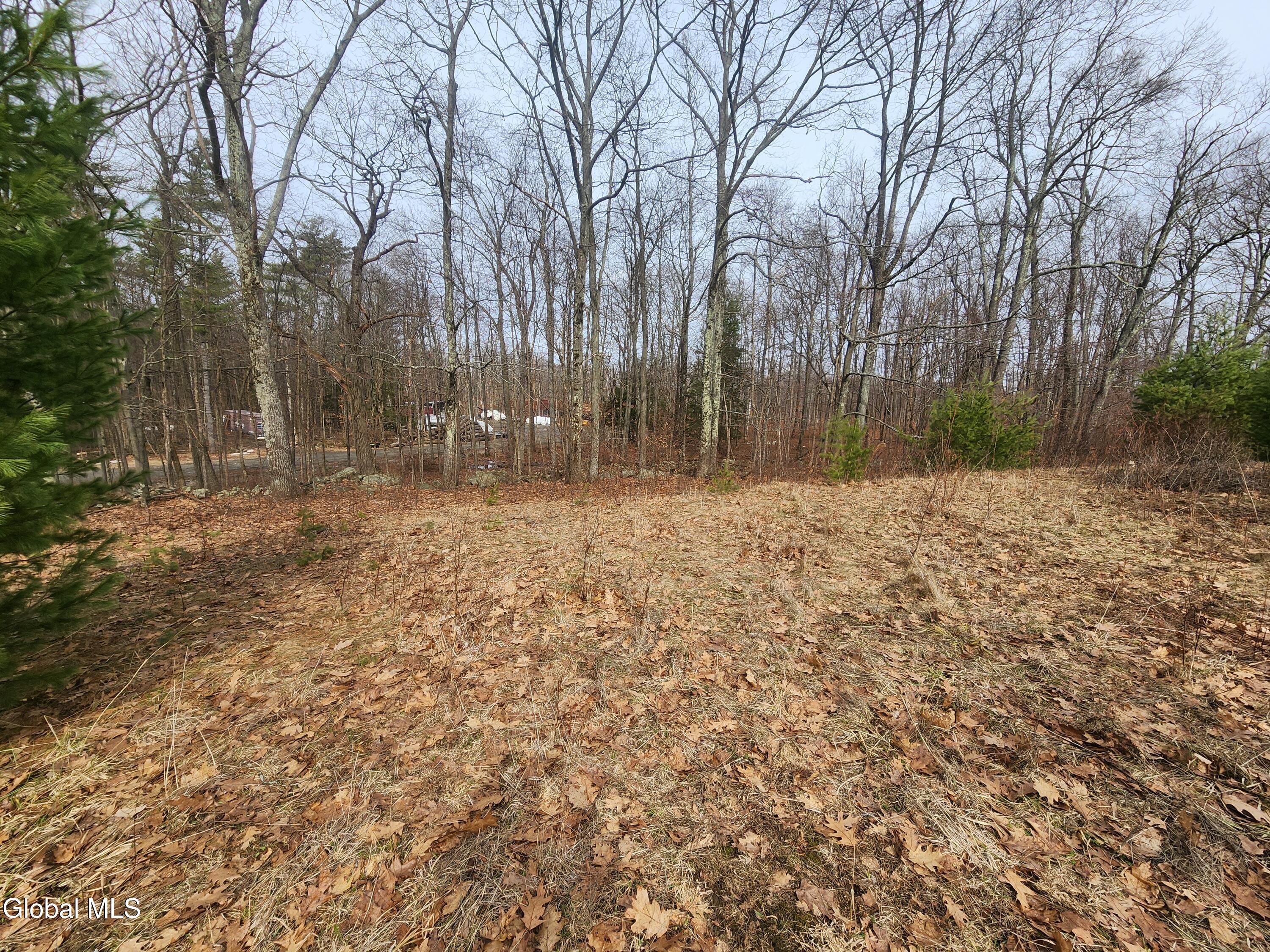 23.2 Lynn Road Averill Park, NY 12018 - Photo 12 of 14 20260313_111217