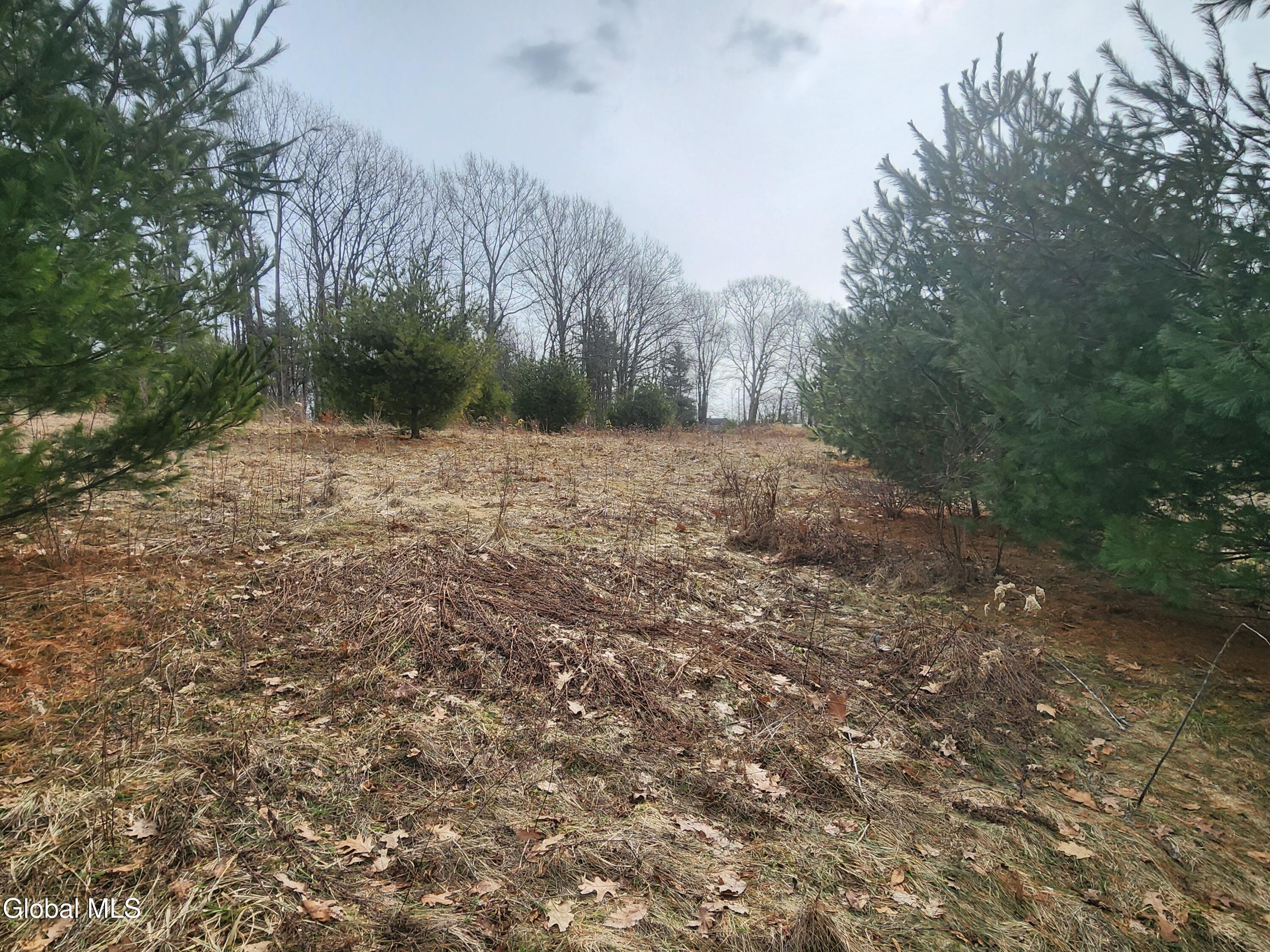 23.2 Lynn Road Averill Park, NY 12018 - Photo 13 of 14 20260313_111304