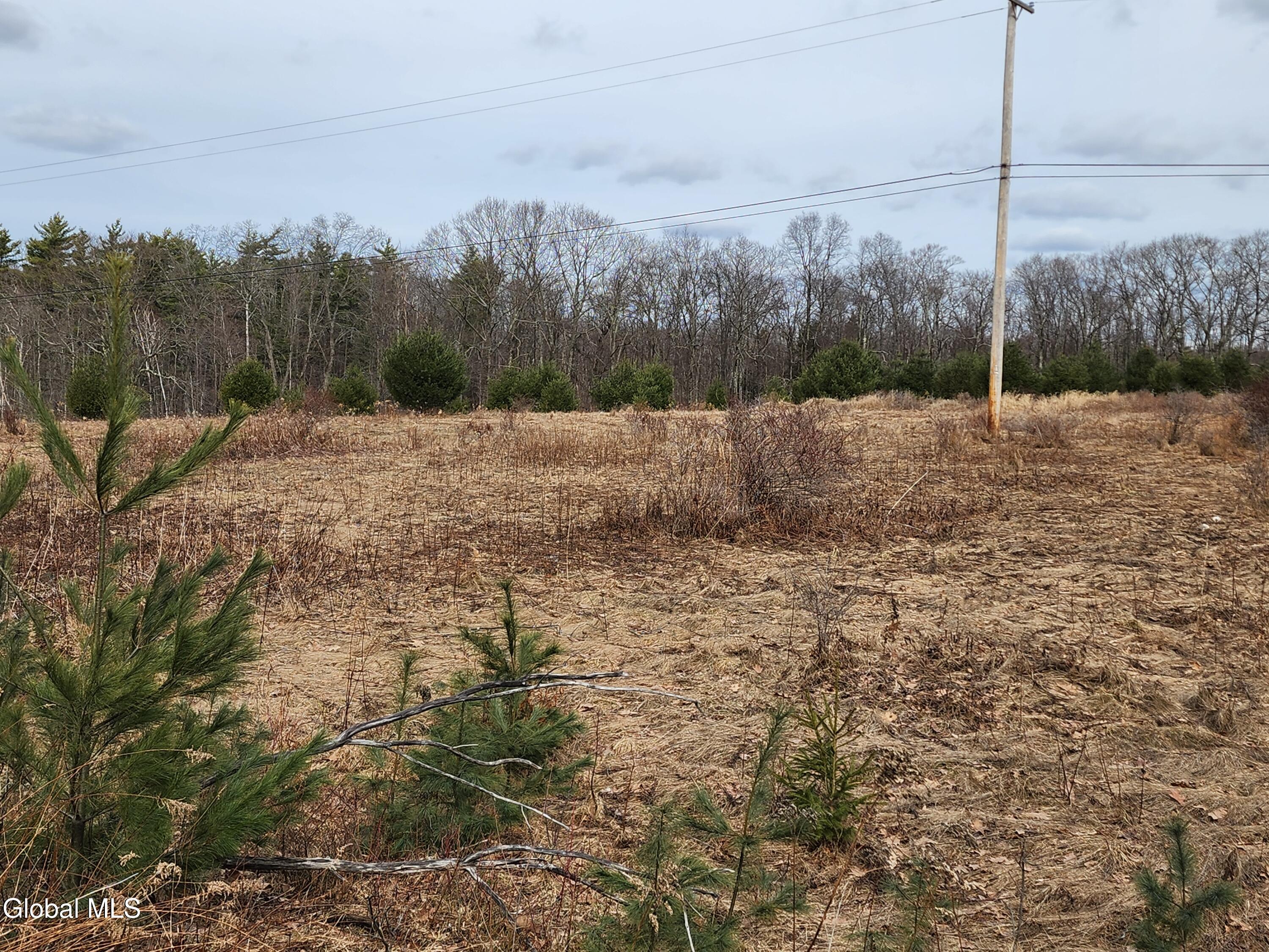 23.2 Lynn Road Averill Park, NY 12018 - Photo 3 of 14 20260313_110731