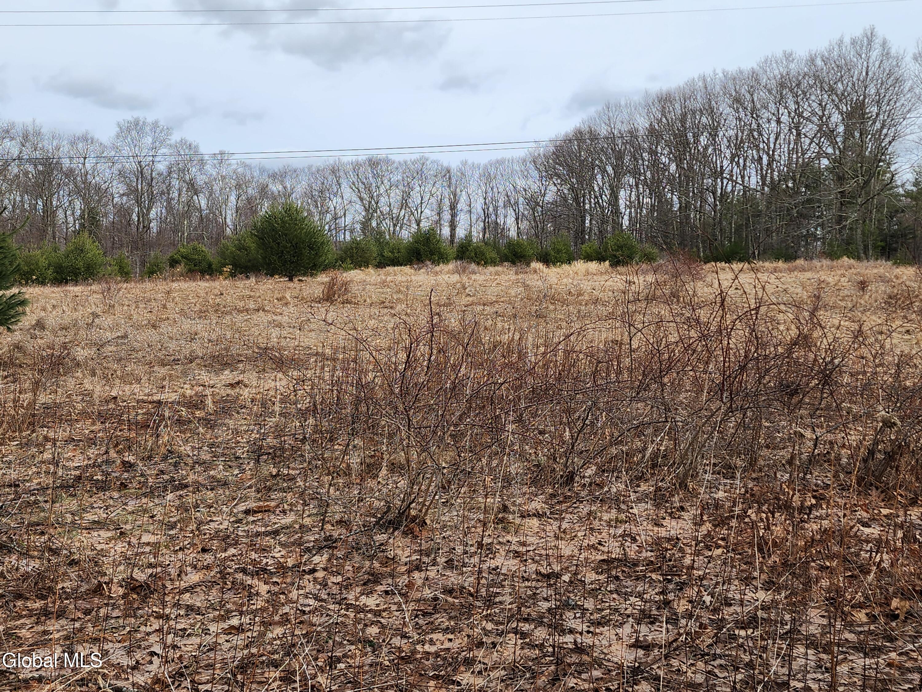 23.2 Lynn Road Averill Park, NY 12018 - Photo 4 of 14 20260313_110813