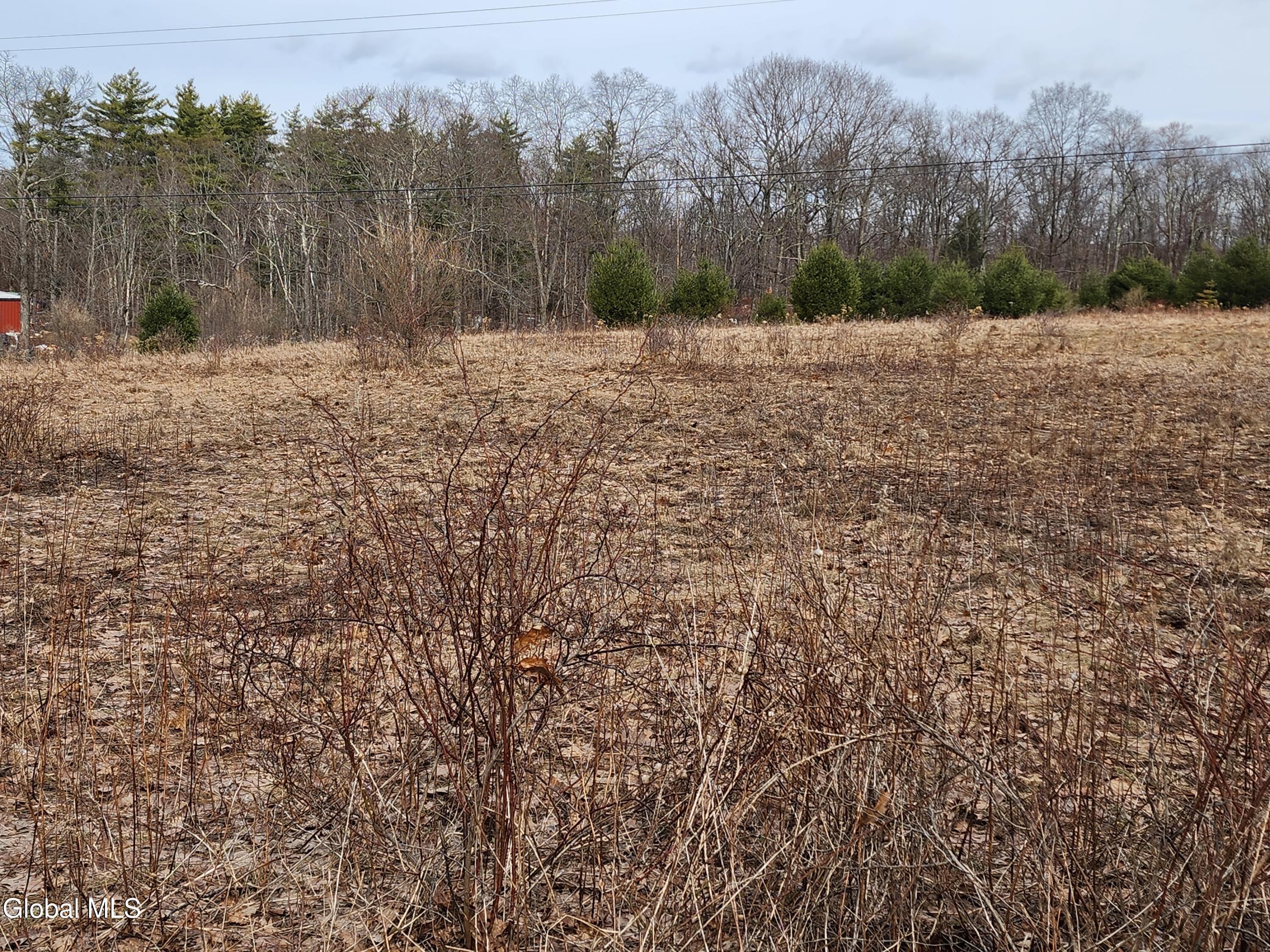 23.2 Lynn Road Averill Park, NY 12018 - Photo 5 of 14 20260313_110826