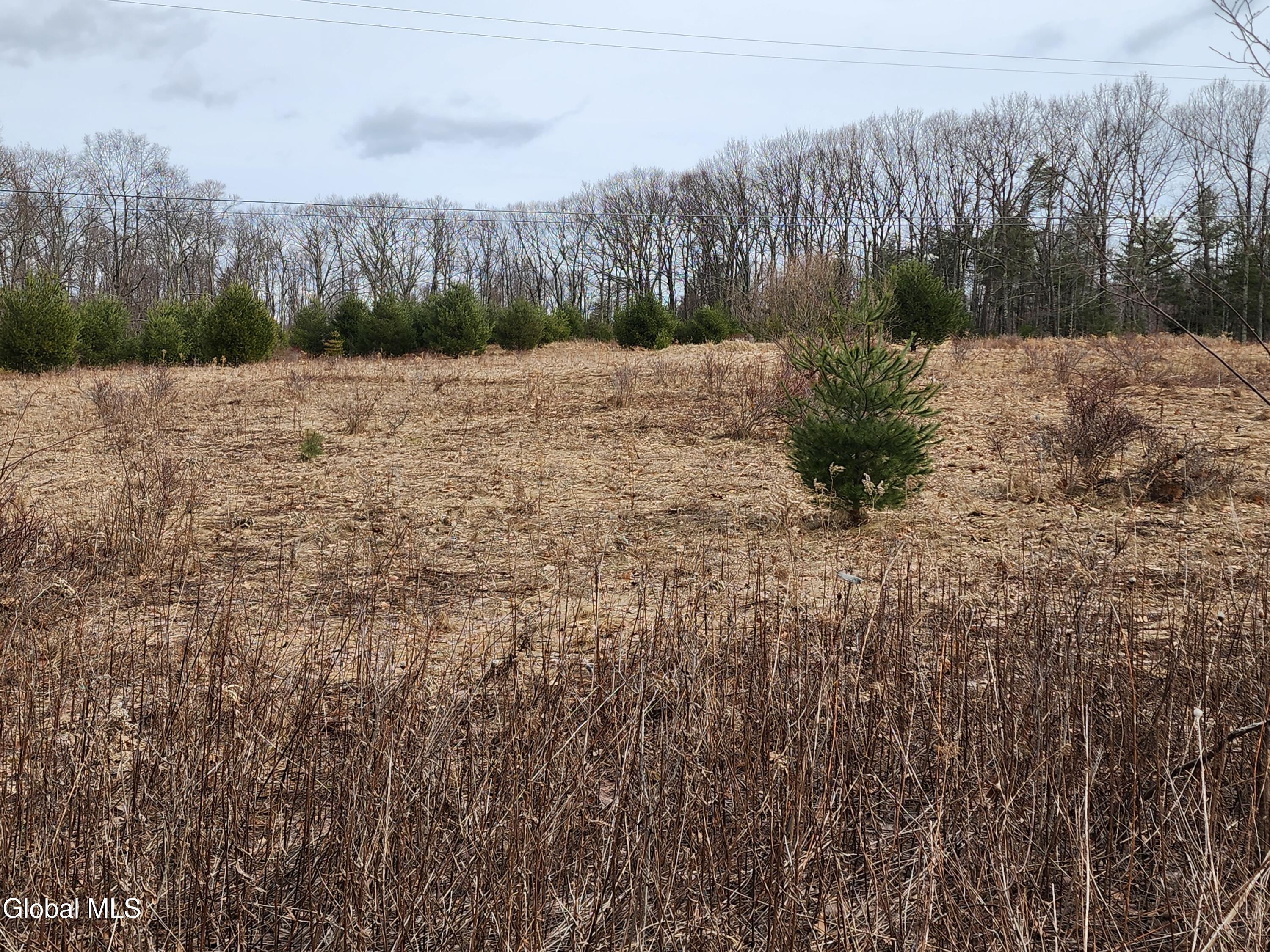 23.2 Lynn Road Averill Park, NY 12018 - Photo 6 of 14 20260313_110853