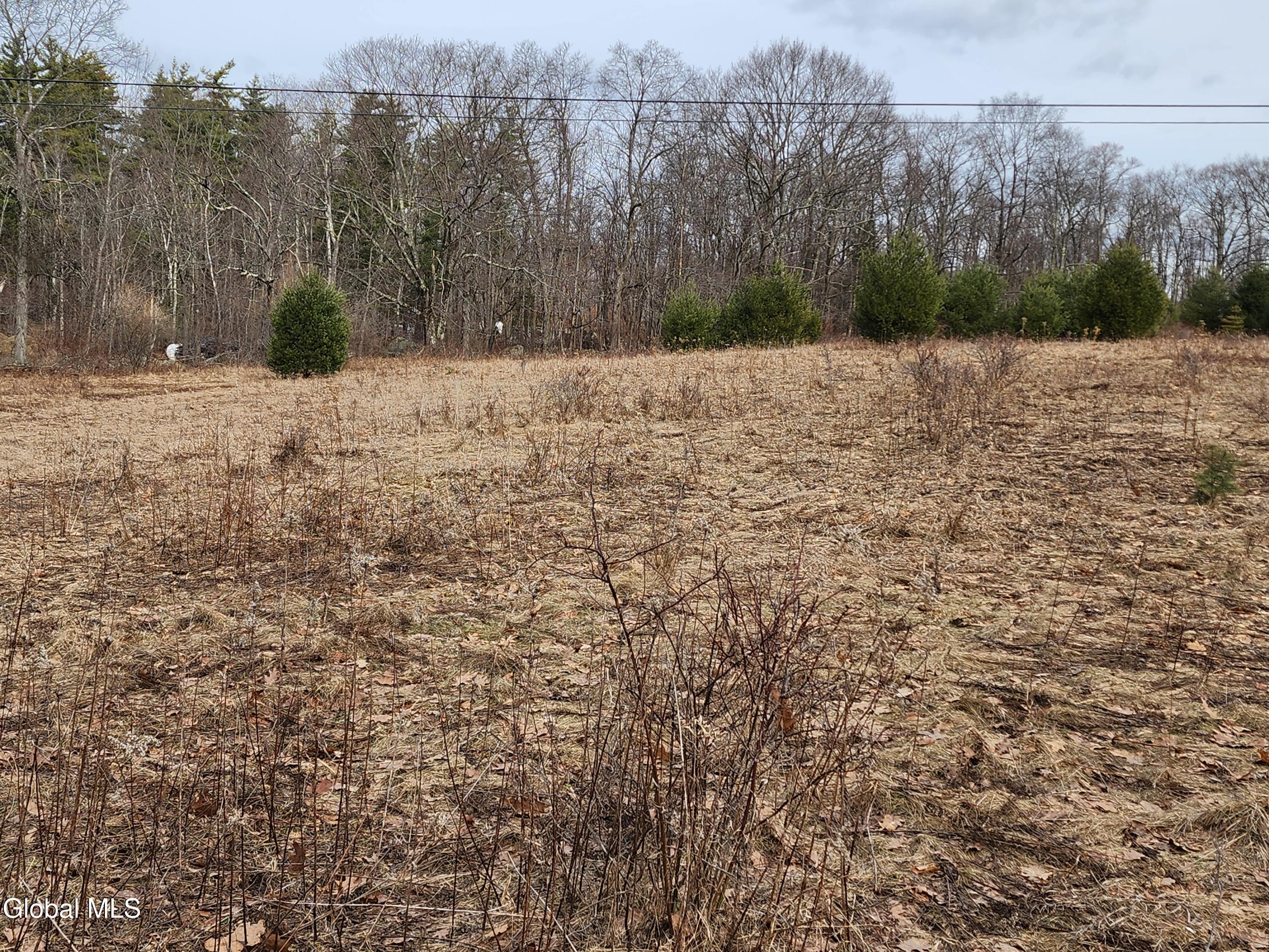 23.2 Lynn Road Averill Park, NY 12018 - Photo 7 of 14 20260313_110909