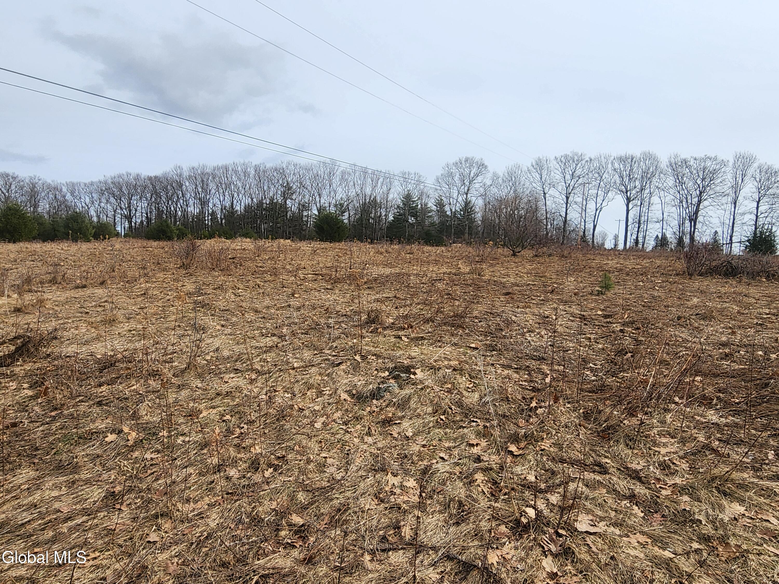 23.2 Lynn Road Averill Park, NY 12018 - Photo 8 of 14 20260313_110932