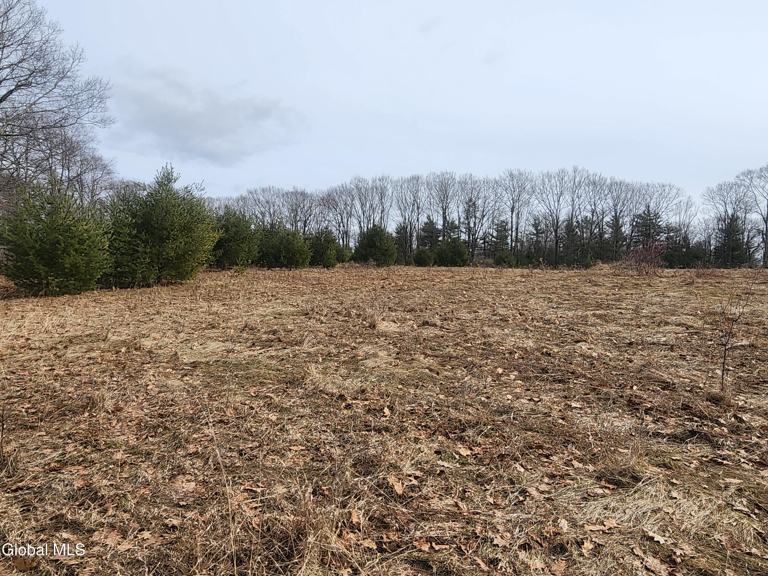 23.2 Lynn Road Averill Park, NY 12018 - Photo 9 of 14 20260313_111038