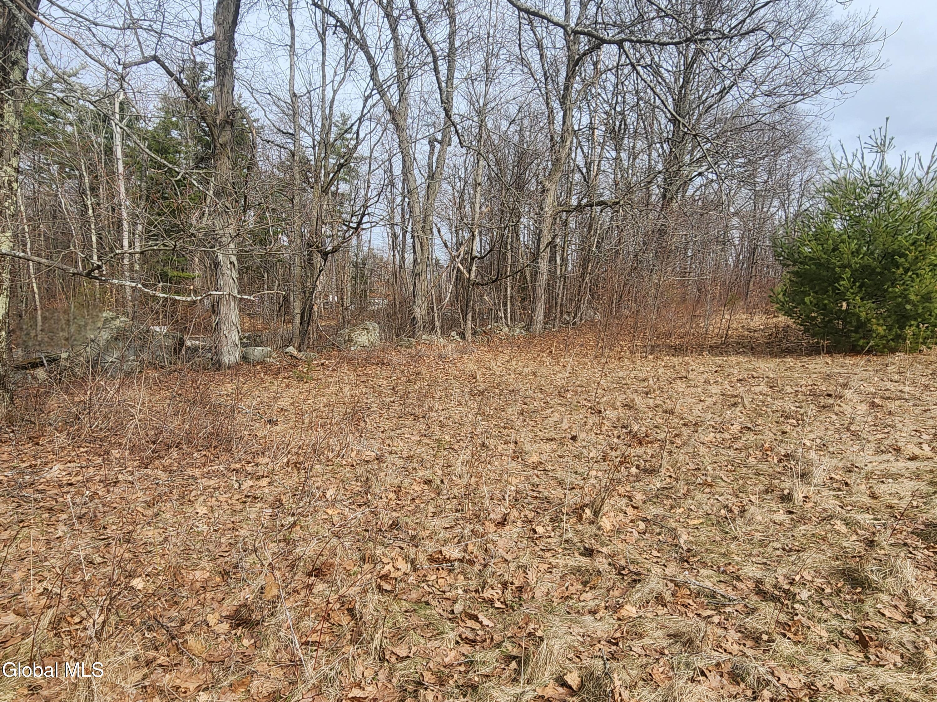 23.2 Lynn Road Averill Park, NY 12018 - Photo 10 of 14 20260313_111048