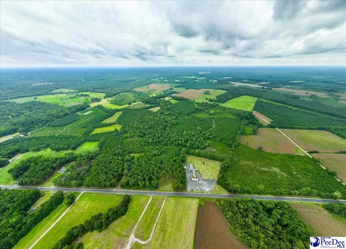 53-acres Old River Road Florence, SC 29505 - Photo 5 of 18 Gallery Image 5
