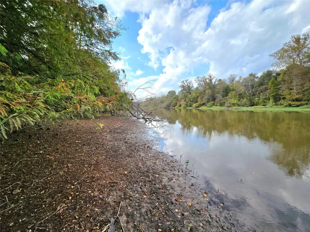 a view of a tree in the middle of a yard