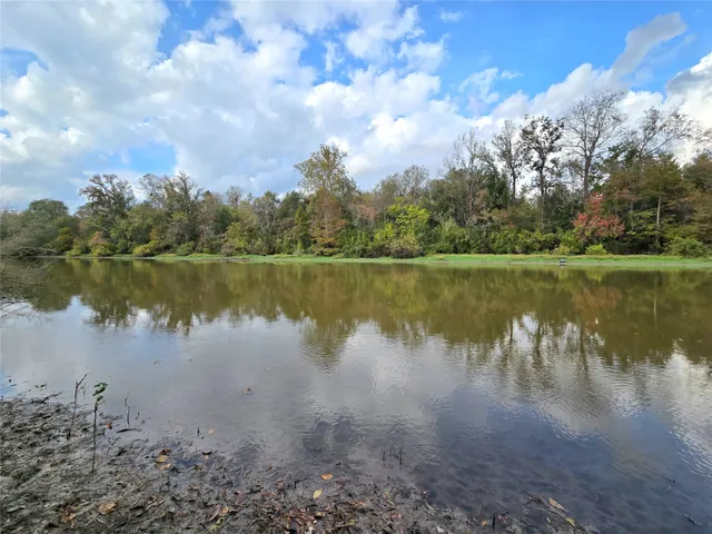 a view of yard with tree