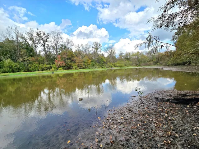 a view of outdoor space with deck and trees