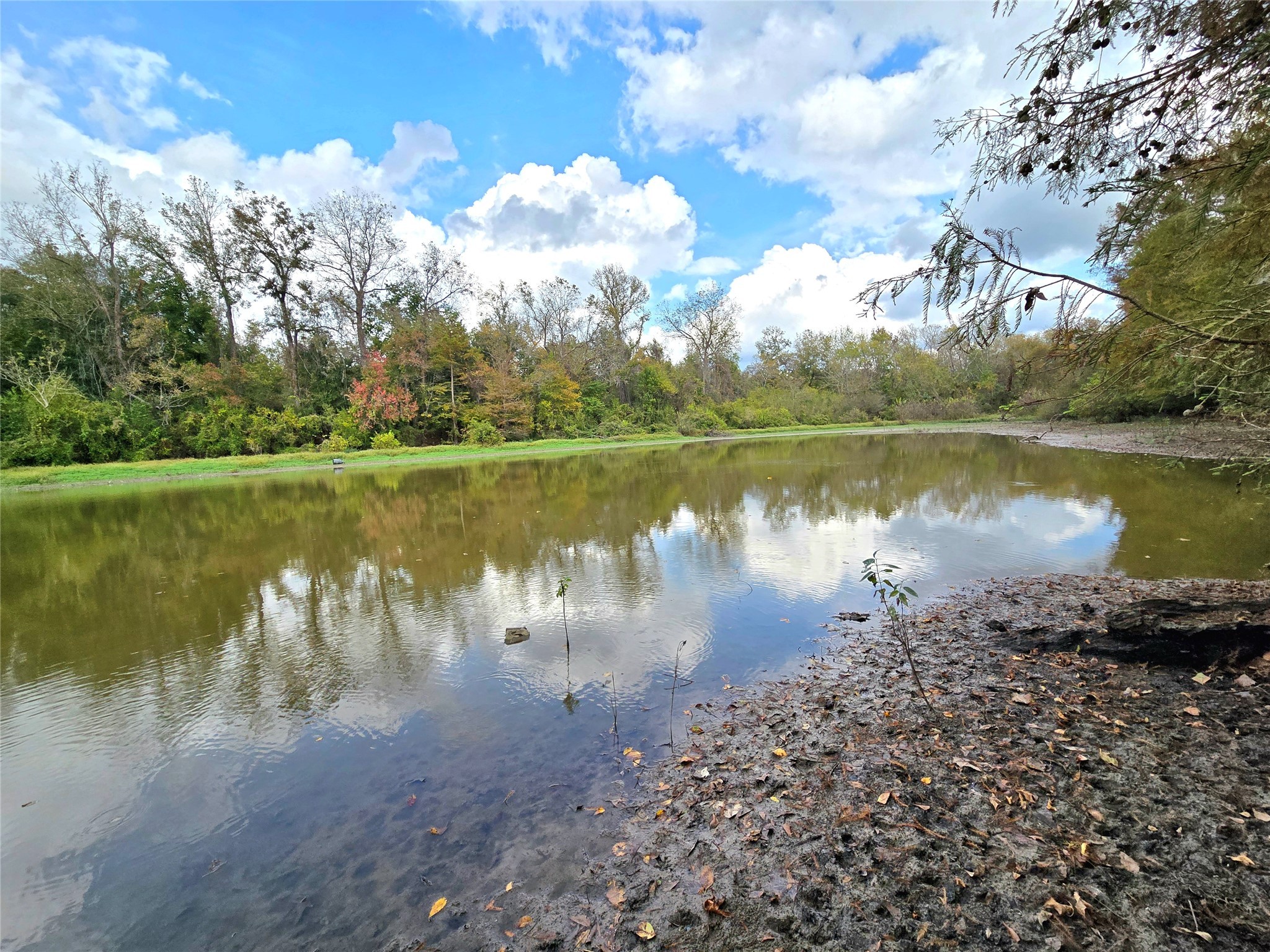 223 County Road 2167B Cleveland, TX 77327 - Photo 39 of 50 a view of a lake with a yard