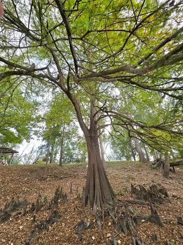 a view of a lake view