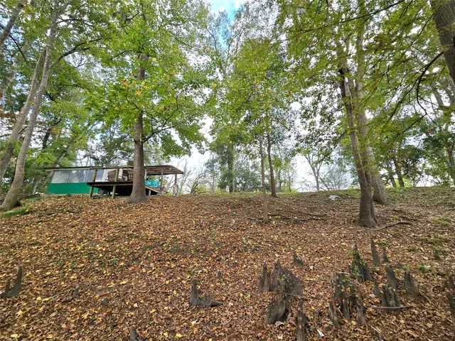 a view of a lake with a mountain