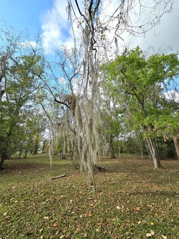 a view of a garden with plants