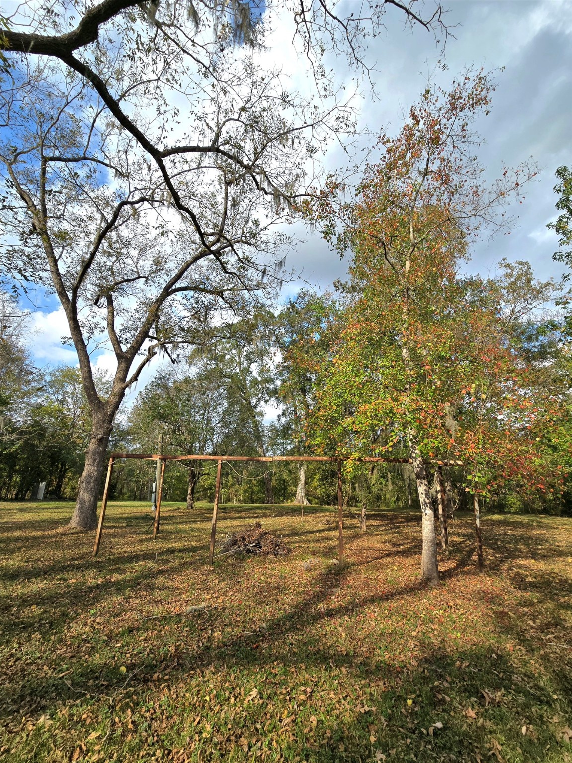 223 County Road 2167B Cleveland, TX 77327 - Photo 43 of 50 a view of yard with tree
