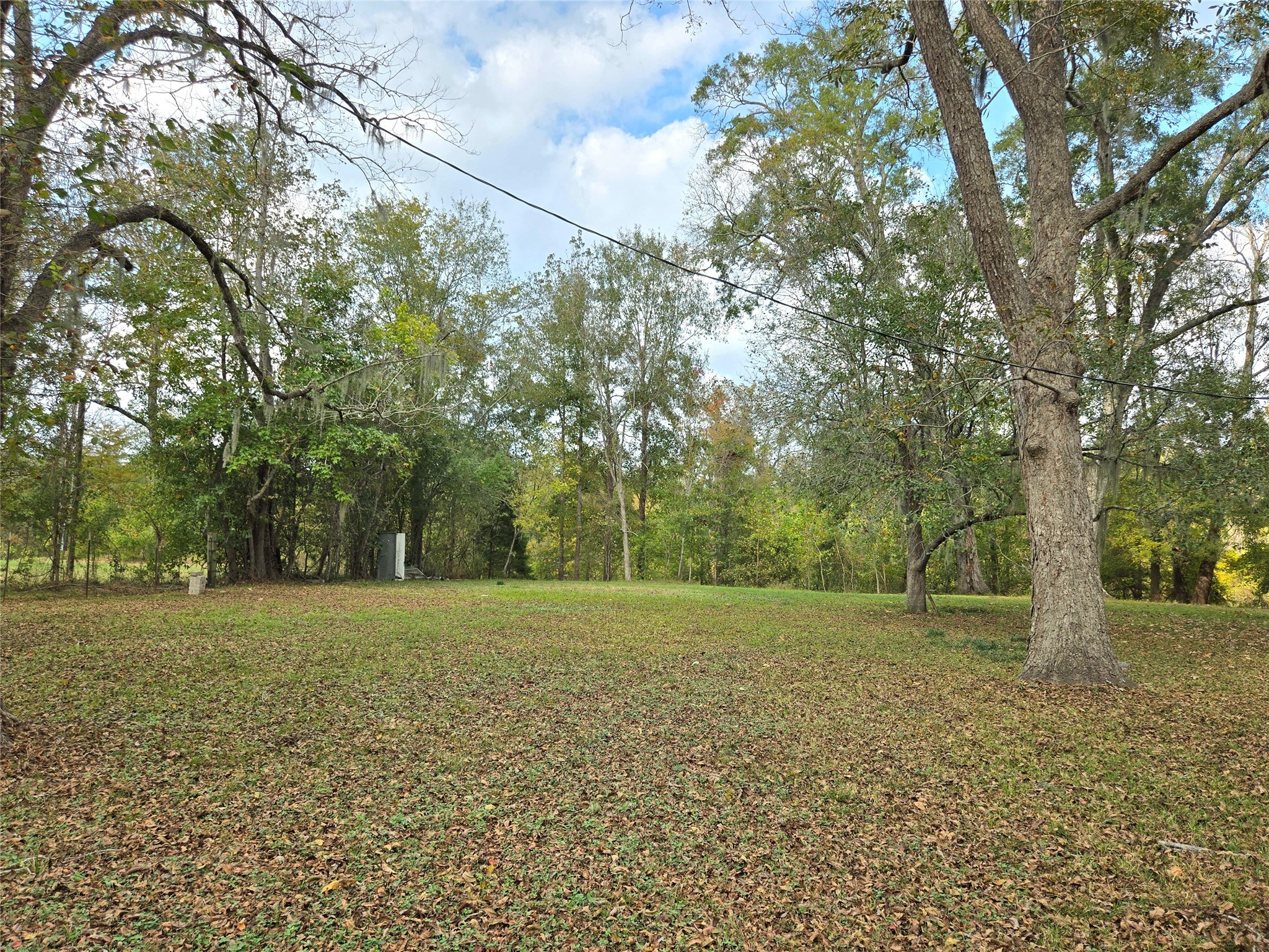 223 County Road 2167B Cleveland, TX 77327 - Photo 44 of 50 a big yard with trees in front of it