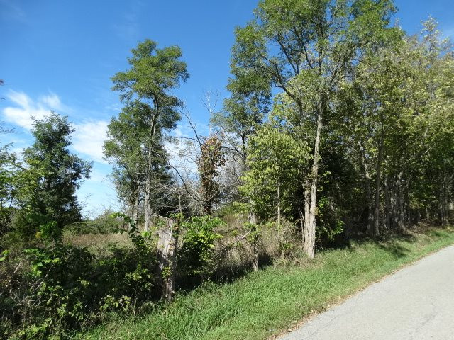 12084 Pleasant Ridge Road Alexandria, KY 41001 - Photo 2 of 6 Gallery Image 2