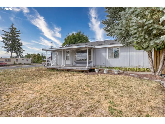 a house view with a backyard space