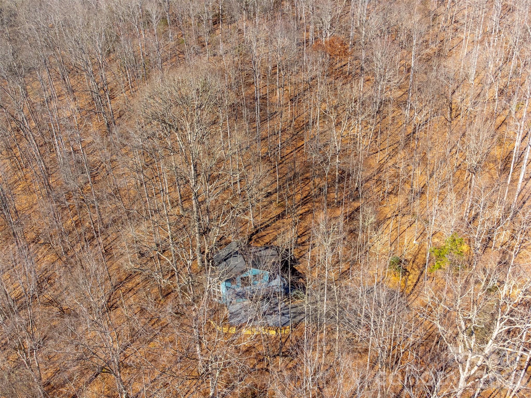 744 Coon Creek Road Franklin, NC 28734 - Photo 17 of 21 a view of a yard