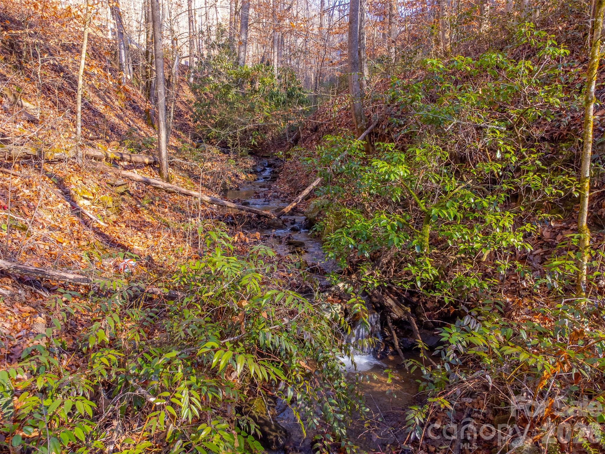 744 Coon Creek Road Franklin, NC 28734 - Photo 4 of 21 a backyard of a house with a tree