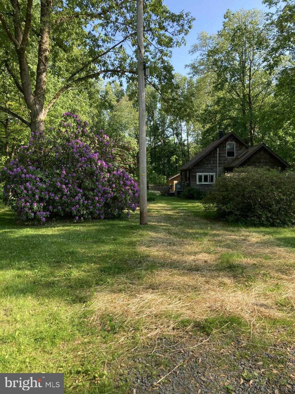 43 Diverty Road Pennington, NJ 08534 - Photo 3 of 13 Gallery Image 3