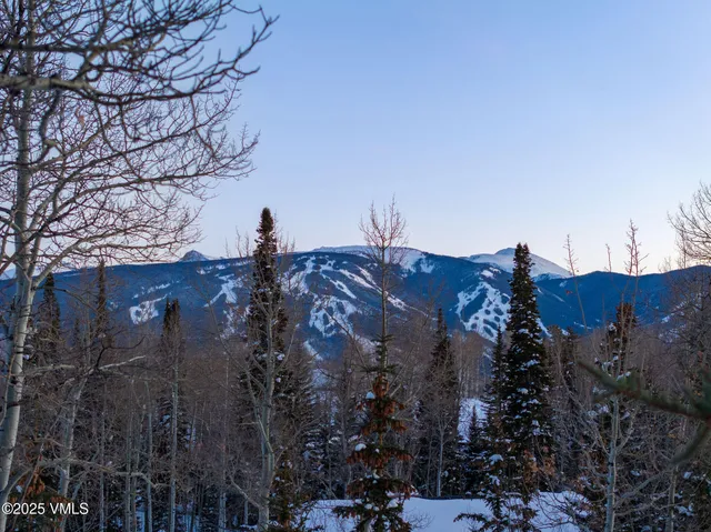 $6,875,000 | 1724 Paintbrush, Avon, CO 81620