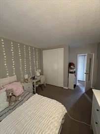 161 Lake Shore Road, Unit 3 Boston, MA 02135 - Photo 8 of 9