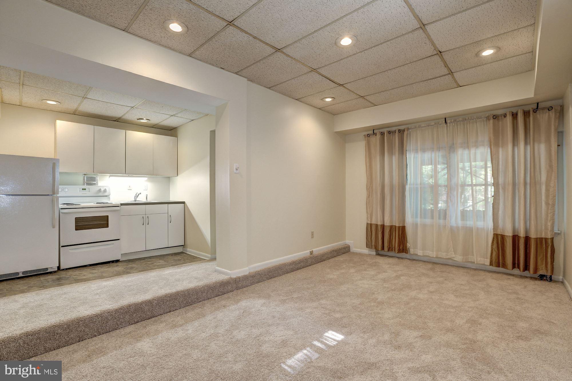 3223 Klingle Road Northwest Washington, DC 20008 - Photo 31 of 42 Lower Level In-Law Suite