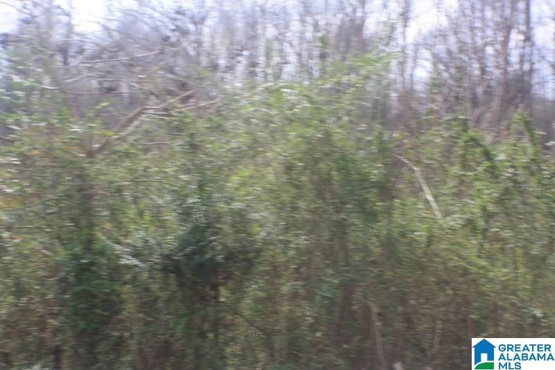 Old Choccolocco Road, Unit 97 Weaver, AL 36277 - Photo 3 of 27