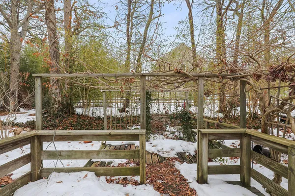 a view of a backyard with a large tree