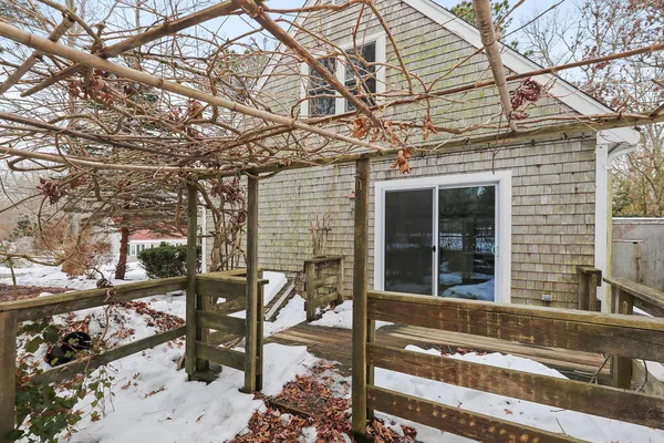 a view of a backyard with a large tree