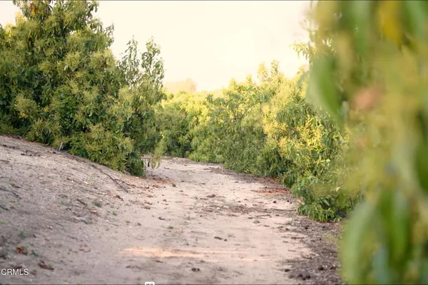 $3,900,000 | 15295 Middle Ranch Road, Moorpark, CA 93021