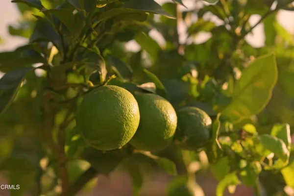 $3,900,000 | 15295 Middle Ranch Road, Moorpark, CA 93021