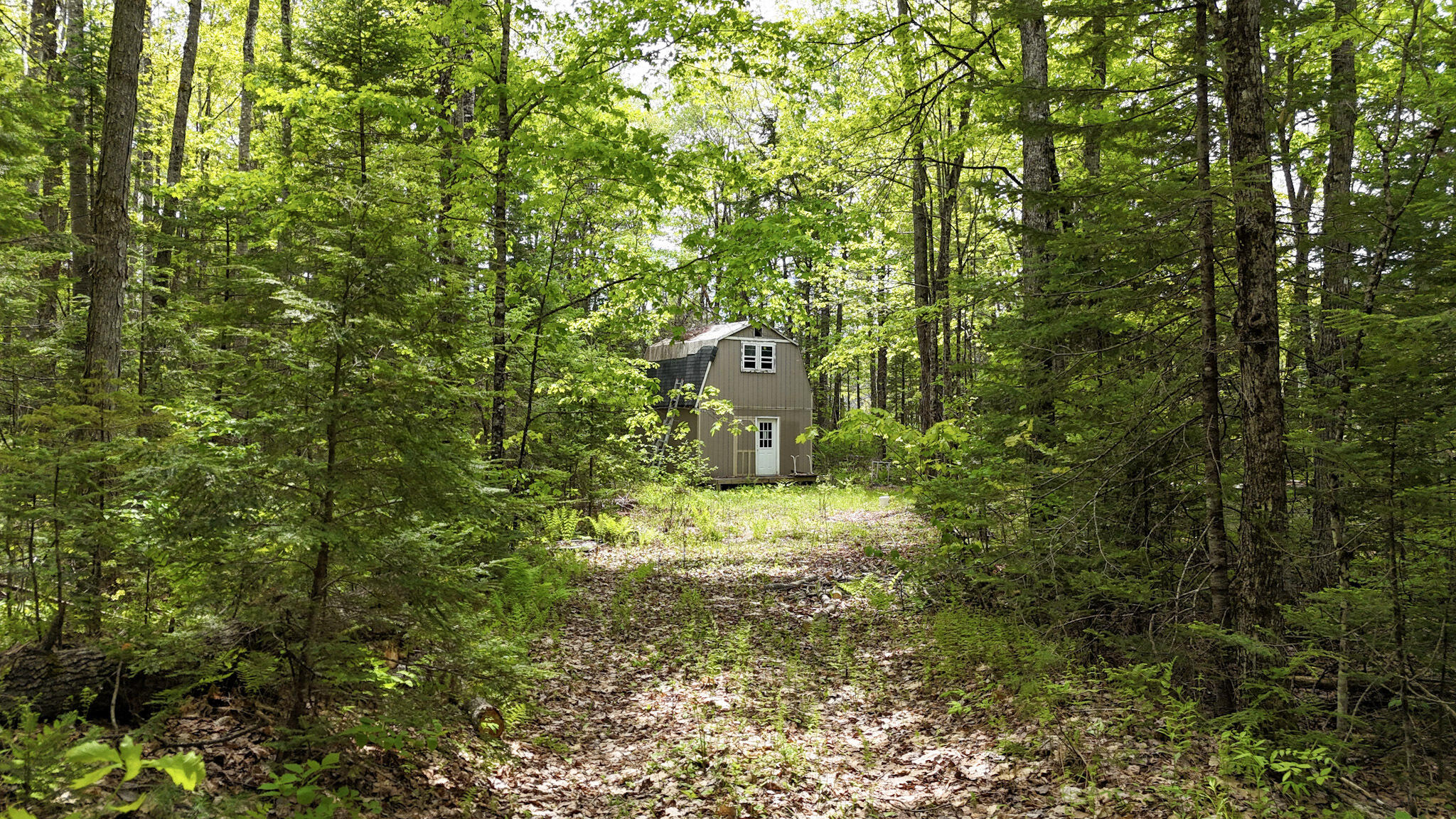 Lot 5 Stream Road Vienna, ME 04360 - Photo 6 of 17 Driveway already cut in