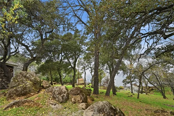 a view of outdoor space with trees