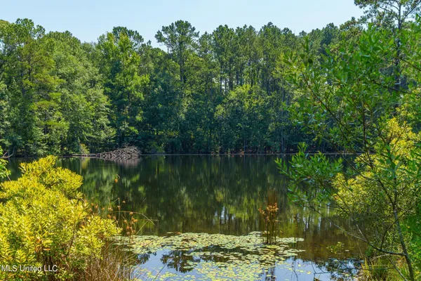 $3,200,000 | 627 Cole Road, Hattiesburg, MS 39402