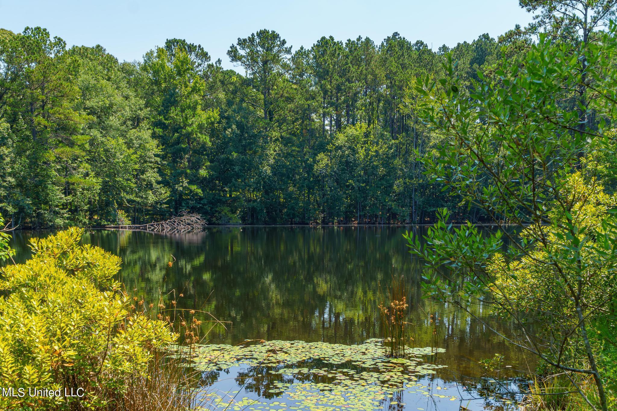627 Cole Road Hattiesburg, MS 39402 - Photo 13 of 24 627 Cole Road-12