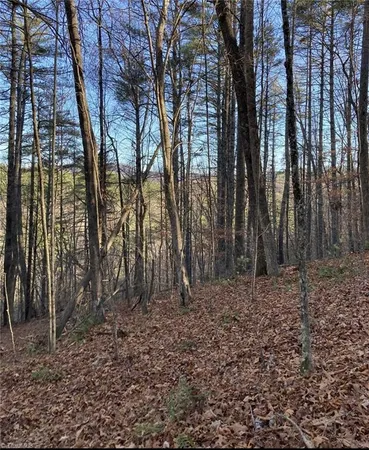$339,900 | 1-2 Toe River Lane, Newland, NC 28657